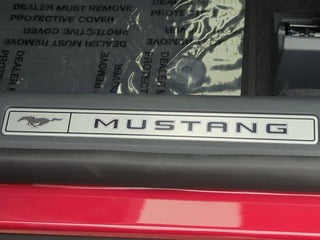 2023 Ford Mustang Mach-E Premium in Princeton, IL - Prescott Brothers Auto Group